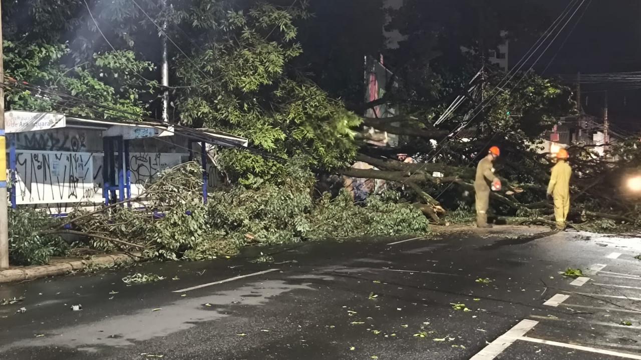 Foto 18 de 67 — TEMPORAL EM FOTOS: veja imagens de destruição em Araraquara